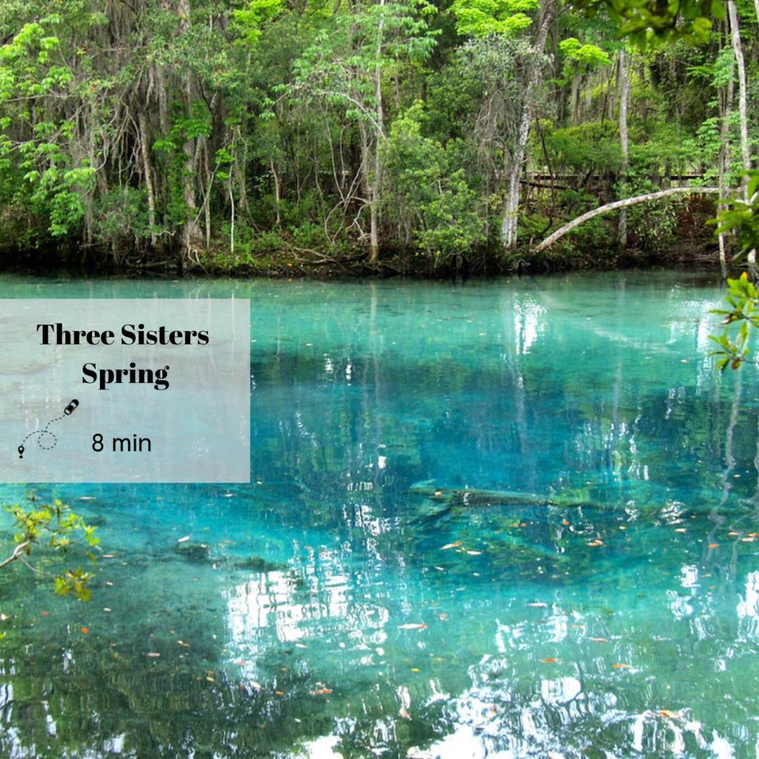 New 6Min To 3 Sister Springs, Spacious, Fun With Game Room Кристал-Ривер Экстерьер фото
